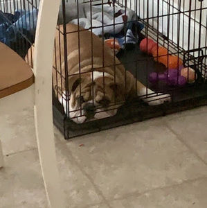 Meet your Posher, Johnelle